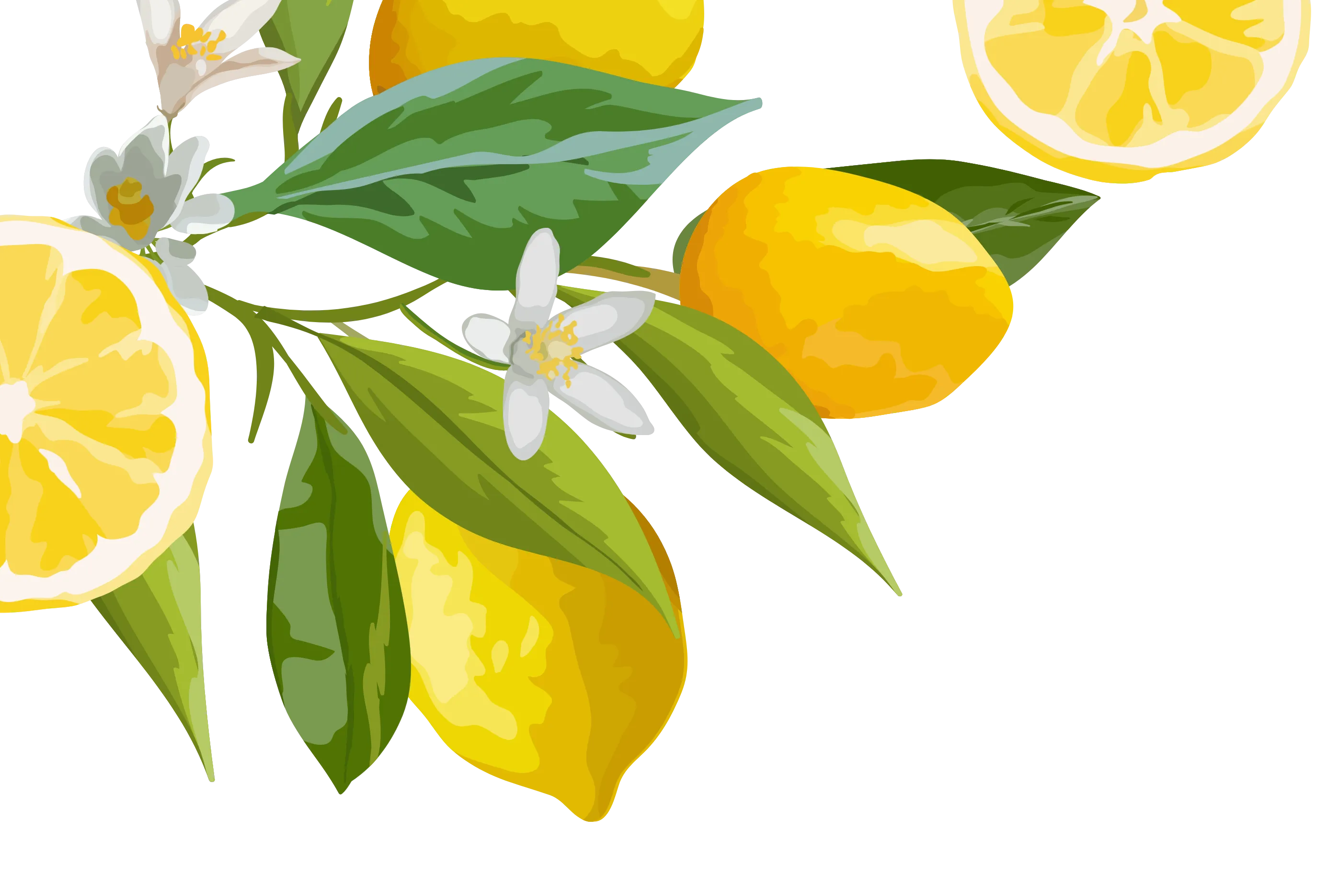 Limones